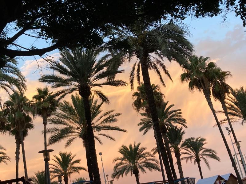 Palmera Beach House - image 25