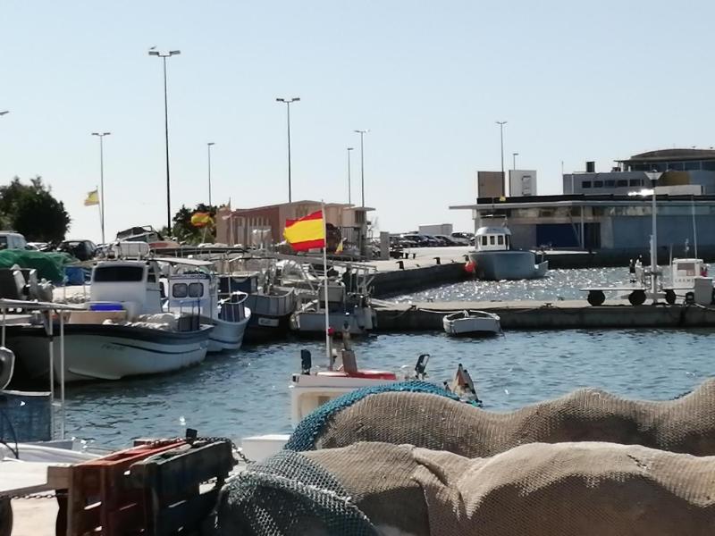 Iratxe en Santa Pola - image 14