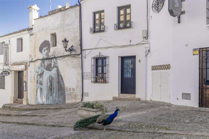 El encanto de Ronda - image 15