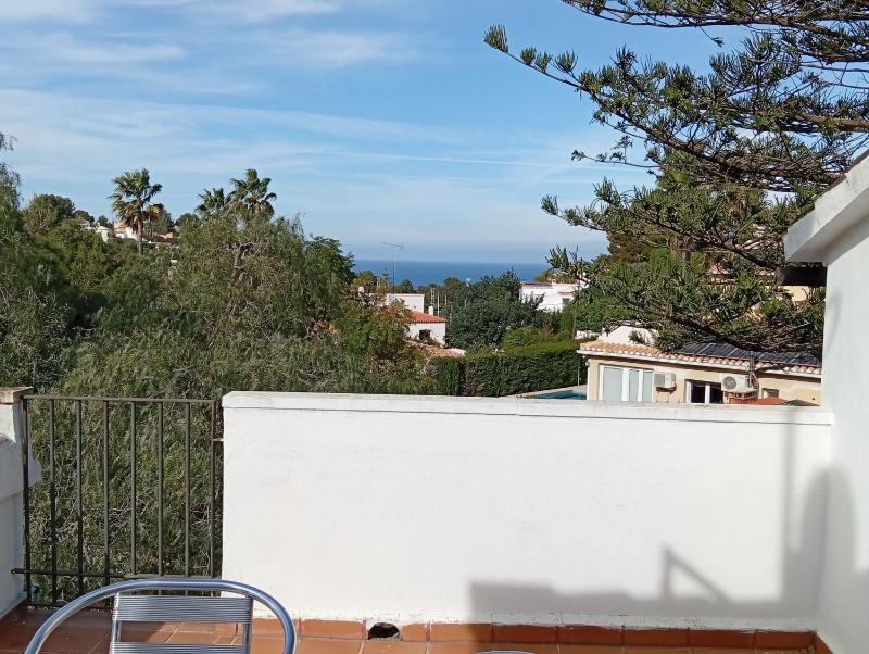 Araucaria - image 5
