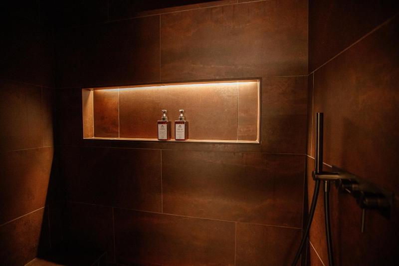 Chalet Ice Villa Genf Spa - Relax - image 26