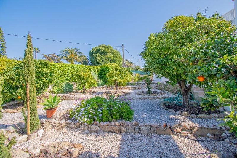 Casa Branca - image 32