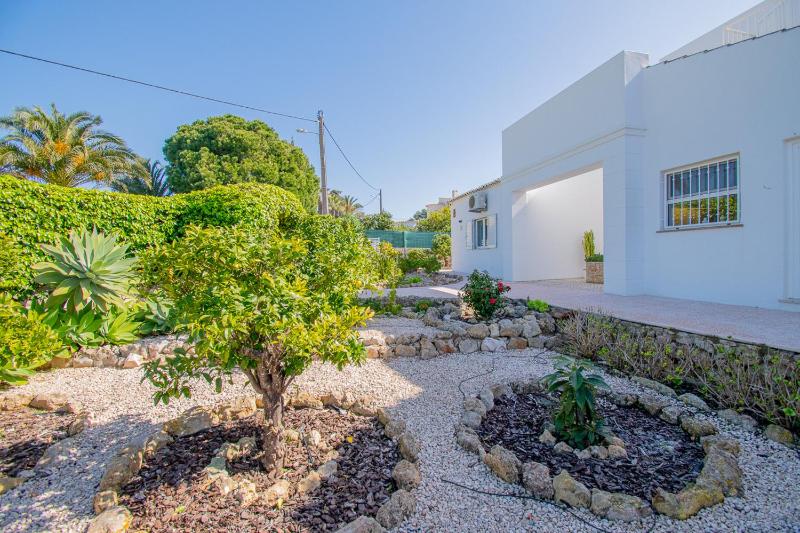 Casa Branca - image 50