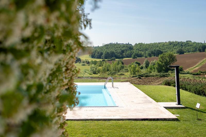 Borgo Syrah - image 26