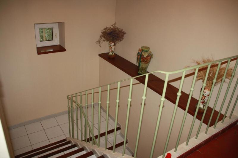 Le Mas des Cigales - image 33