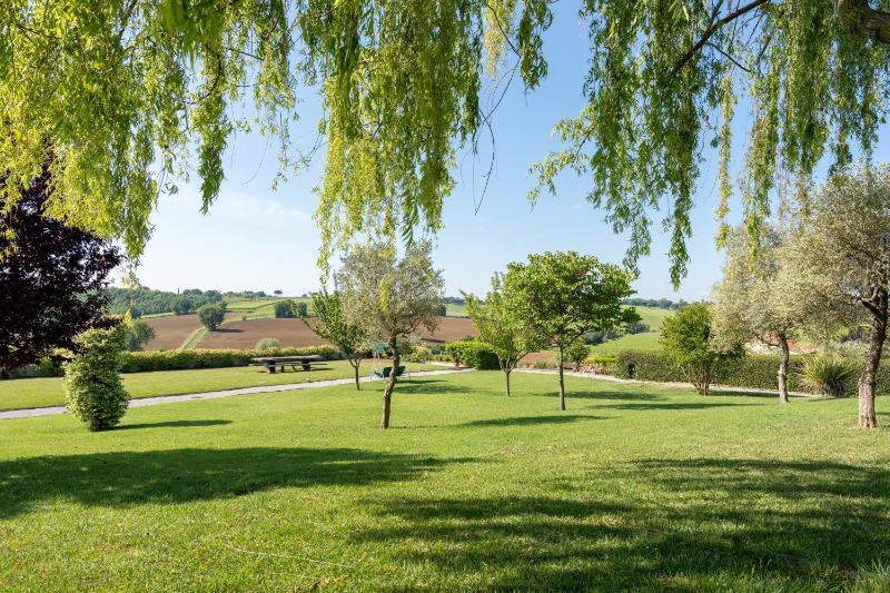 Borgo Syrah - image 24