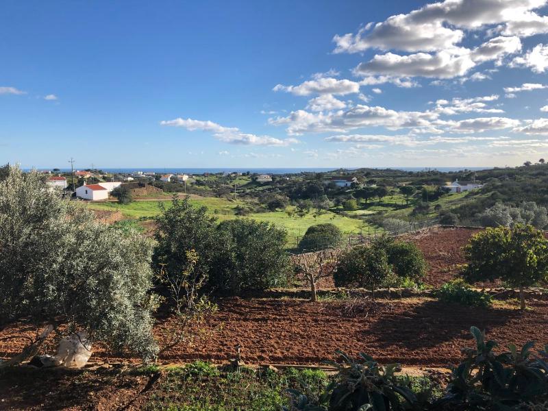 Quinta dos Fontanais - image 19