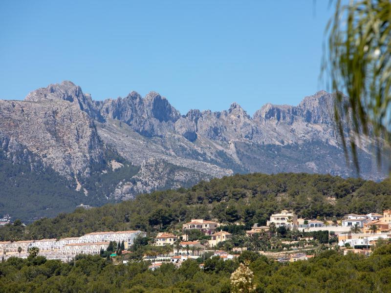 Fustera - image 39
