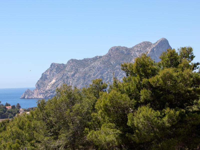Fustera - image 19