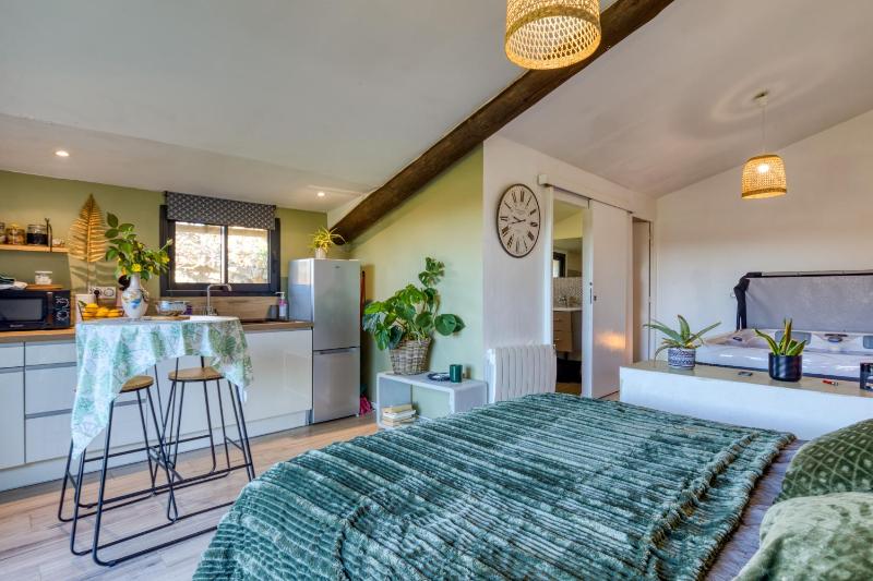 Chambre spa privé Arles campagne - image 10