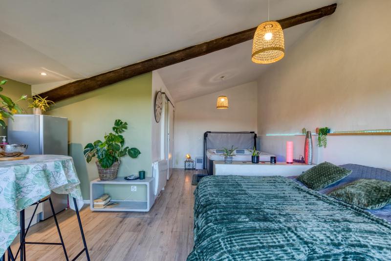 Chambre spa privé Arles campagne - image 9