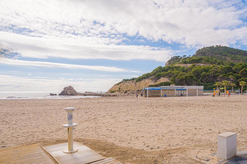 Beach and Green - image 11