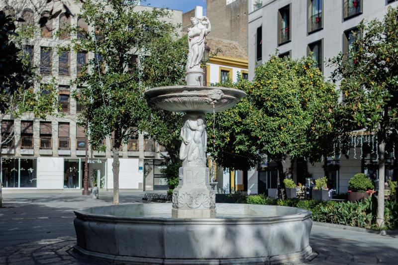 Center Sevilla Magdalena Premium - image 9