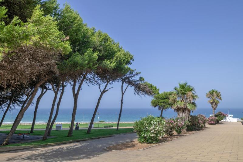 Duplex Atalaya - image 11