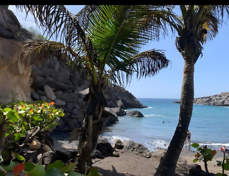 Tu Alojamiento En Playa Paraiso - image 18