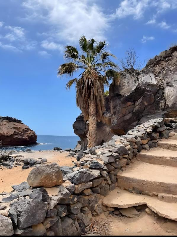 Tu Alojamiento En Playa Paraiso - image 9