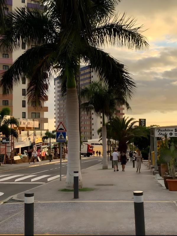 Tu Alojamiento En Playa Paraiso - image 7