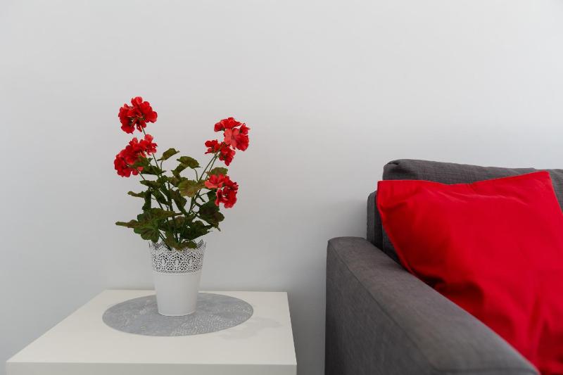 Lovely seaview apartment - image 30