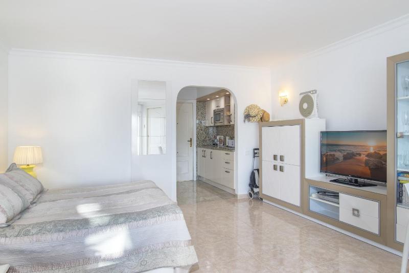 Penthouse studio with sea views - image 16