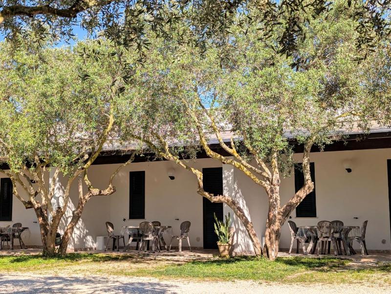 Lilybeo Village - Camping & Residence - image 5