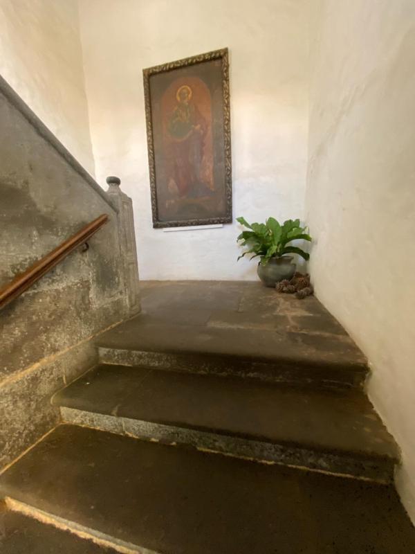 Casa Montesdeoca - Jacaranda - image 4