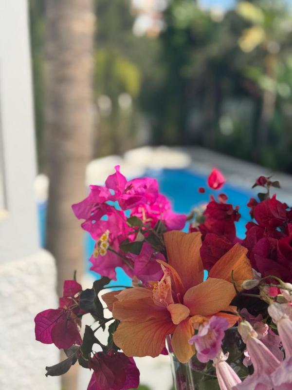 Villa Nerja - image 12