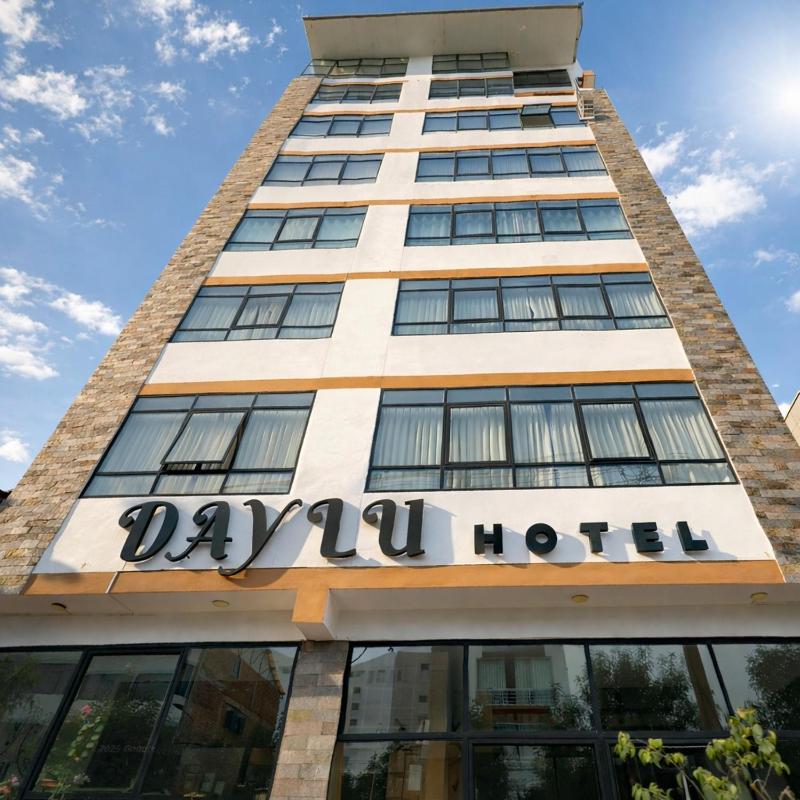 Hotel Daylu - image 1