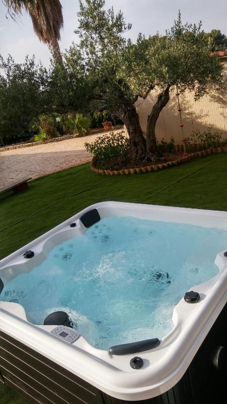 Delux with private pool - image 9