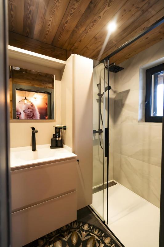 Vora Alpin Roca immobilier Chatel - image 19