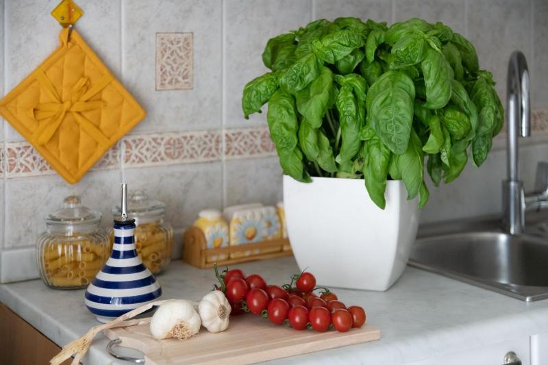 Casa Mamma Margherita - image 2