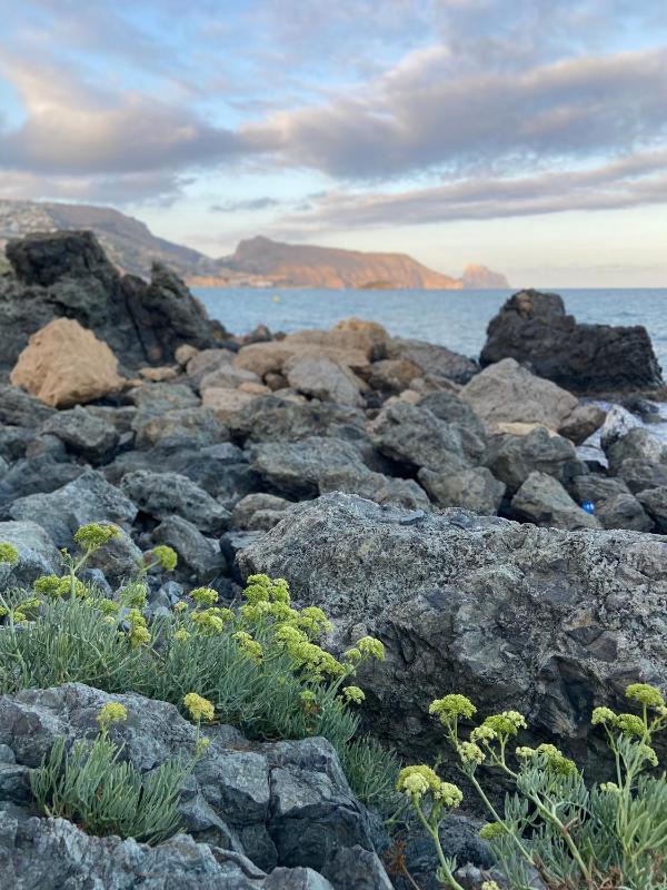 Altea Seaview - image 15