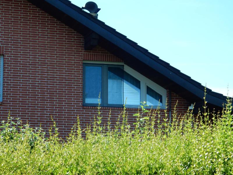 Apfelstübchen - image 16