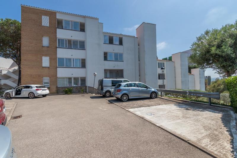 Les Magnolies - image 6