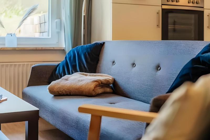 Harz Vital Lodge Ferienwohnung - image 31