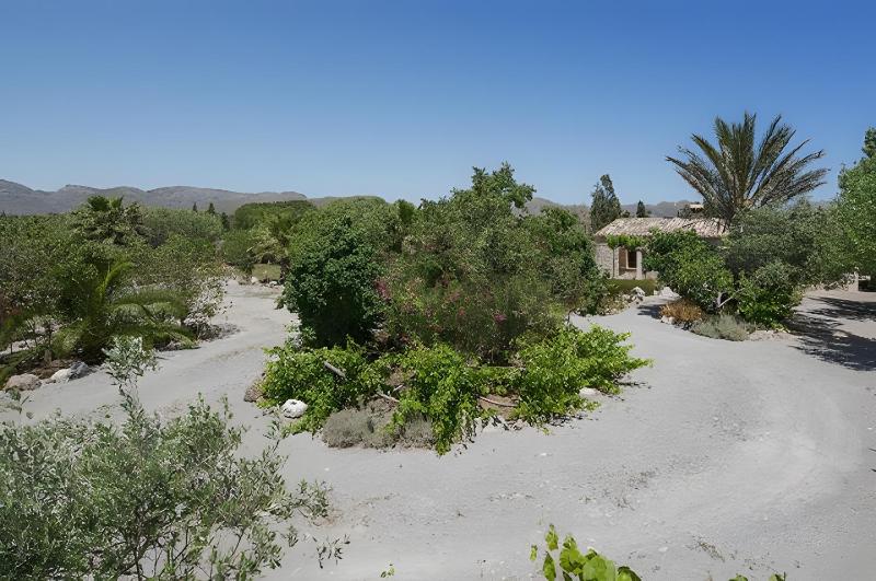 Las Palmeras - image 11