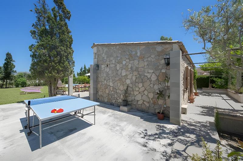 Las Palmeras - image 17