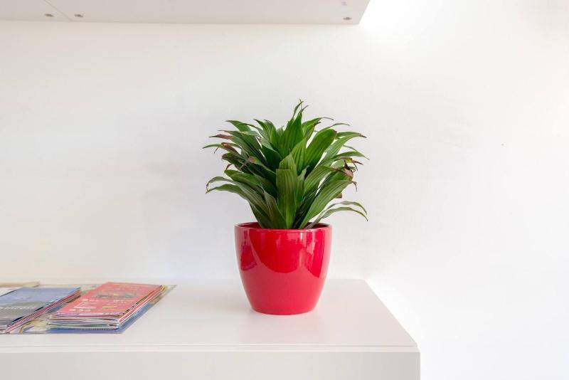 Quiet bright and central apartment - image 16