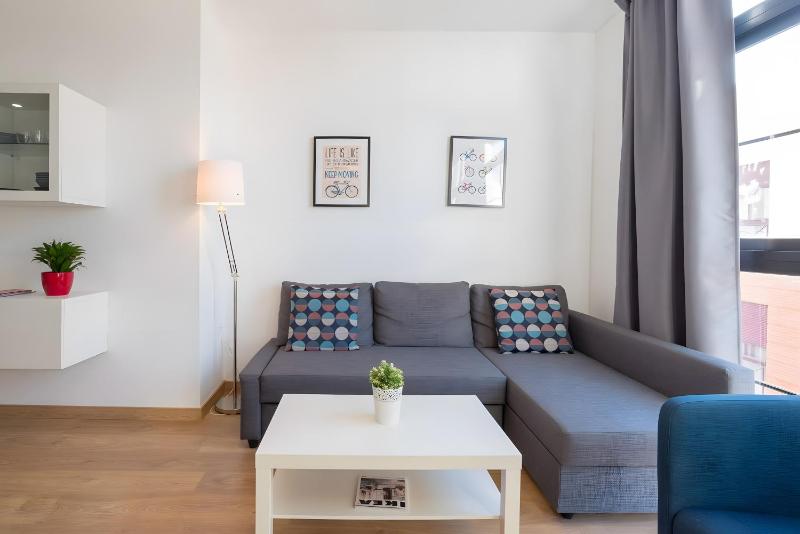 Quiet bright and central apartment - image 1