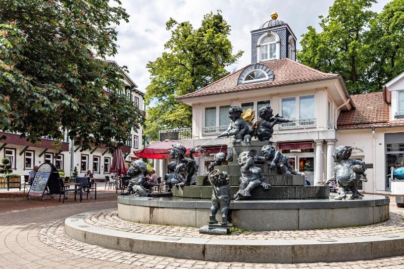 Harzburg Stube - image 5
