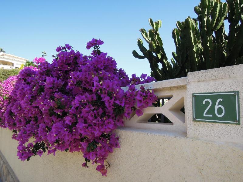 Villa Vista 26 - image 28