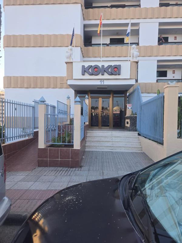 Petit loft Dreams Koka - image 20