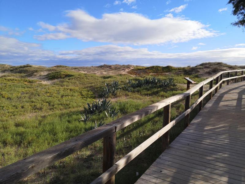 Sunnygolfbeach - image 25