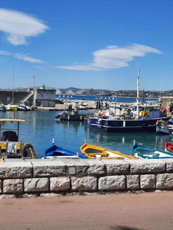 Studio En Bord De Mer - image 4
