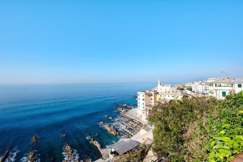 Il ciliegio di Miki - image 9