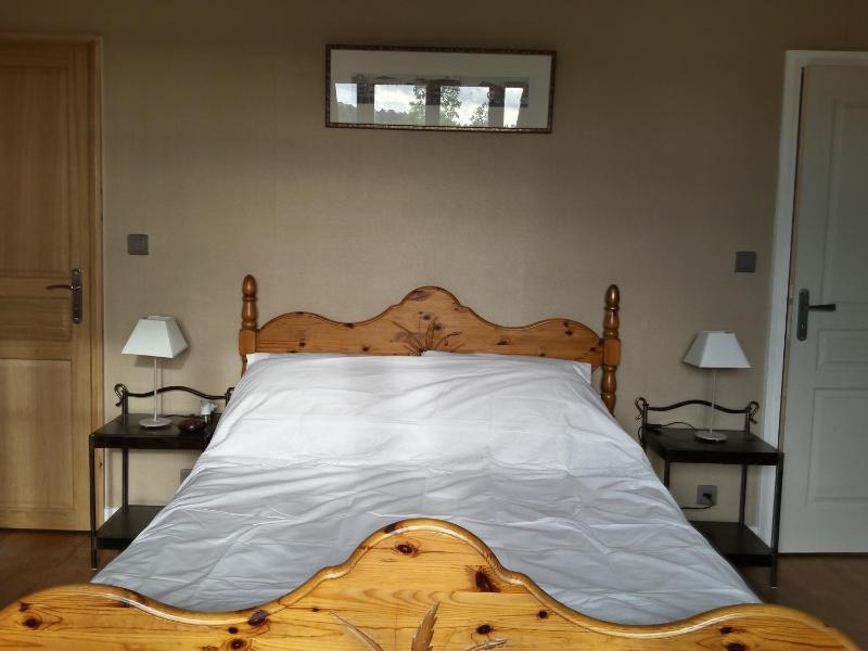 Double Room with River View image 3