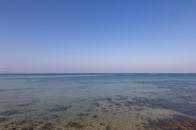Capitan Trinchetto Agave - image 17