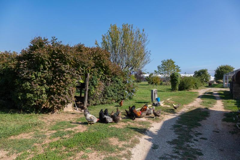 Gîte du Pagoulin - Coquelicots - image 3