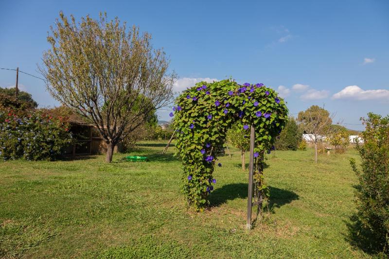 Gîte du Pagoulin - Coquelicots - image 25