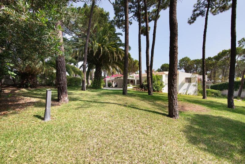 Casa Isabella - image 31