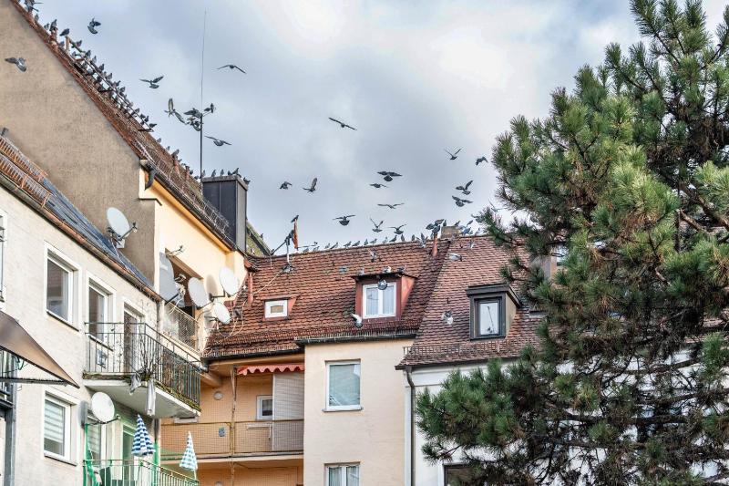 Apartment in Nürnberger Altstadt - image 12